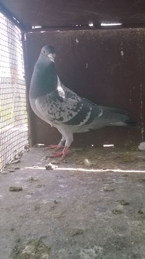 WP_20160417_11_47_37_Pro