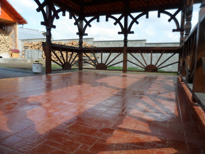 SAM_5098 - Ocupatia mea de baza