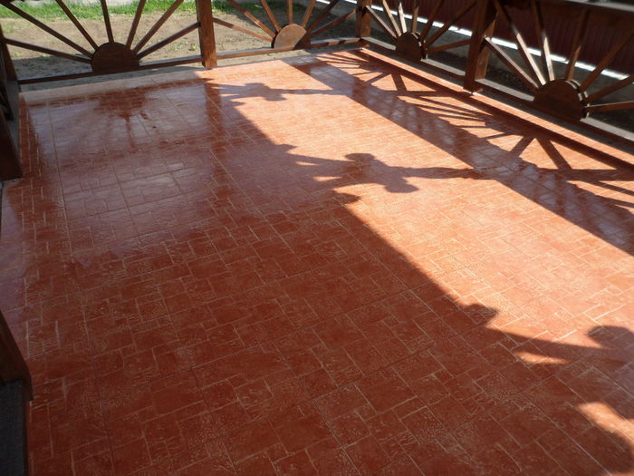 SAM_5096 - Ocupatia mea de baza