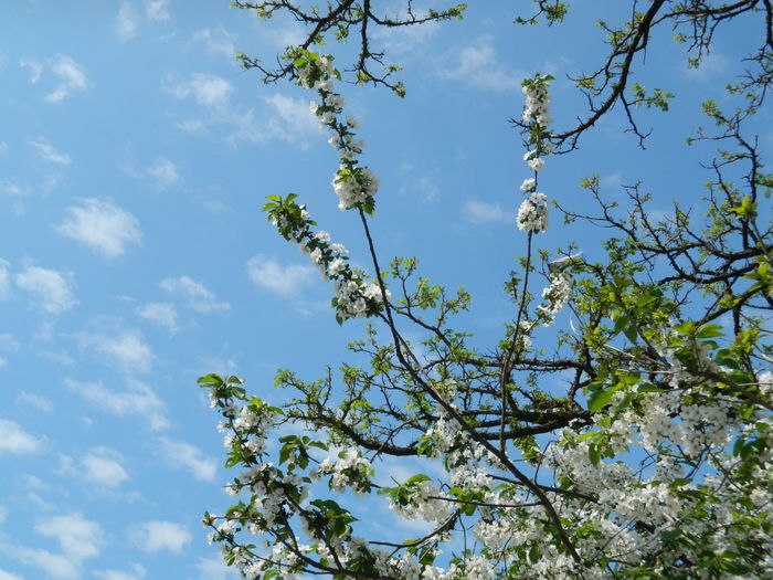DSCN4861