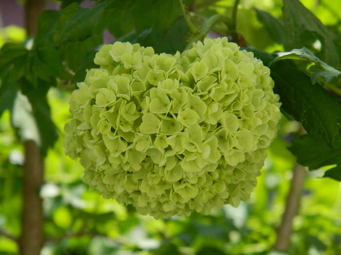 DSCN4872