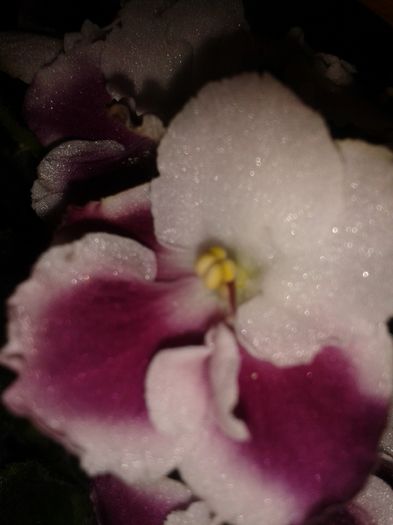 20160403_102836