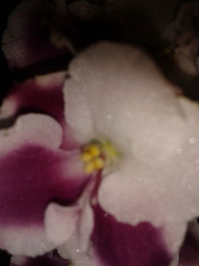 20160403_102842
