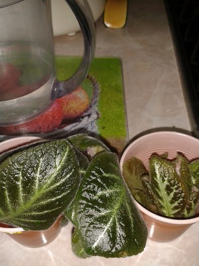 20160407_104223