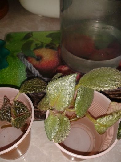 20160407_104228