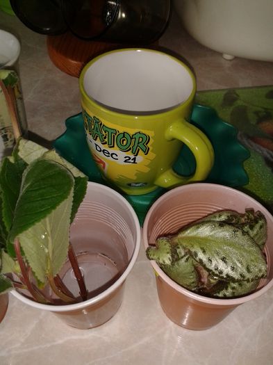 20160407_104237