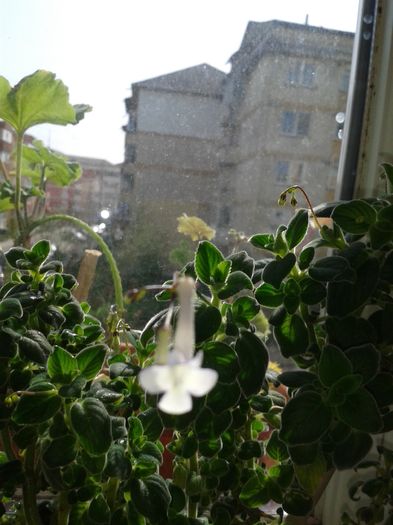 20160407_111452