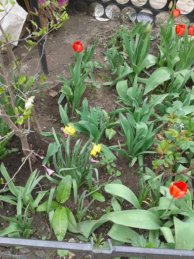 20160408_105335