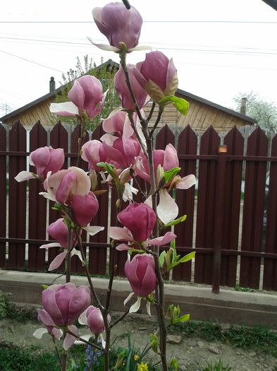 20160408_105353