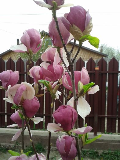 20160408_105358