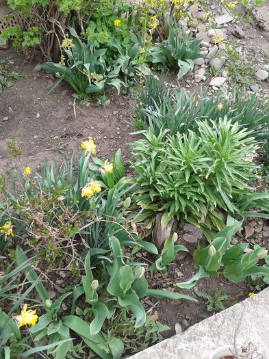 20160408_105412
