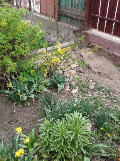 20160408_105416