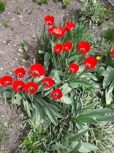 20160410_121915