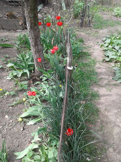 20160410_121928