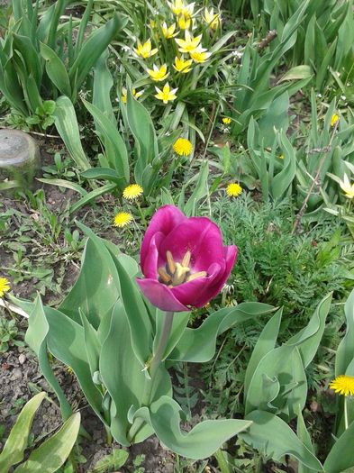 20160410_121948
