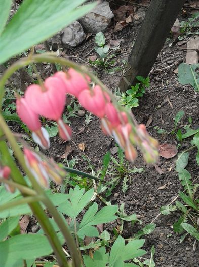 20160410_122053