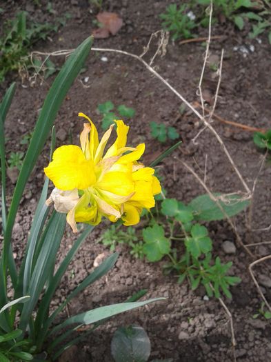 20160410_122146
