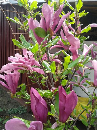 20160410_122231