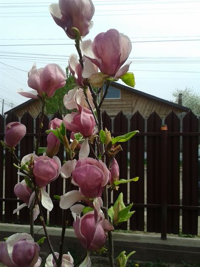 20160410_122244