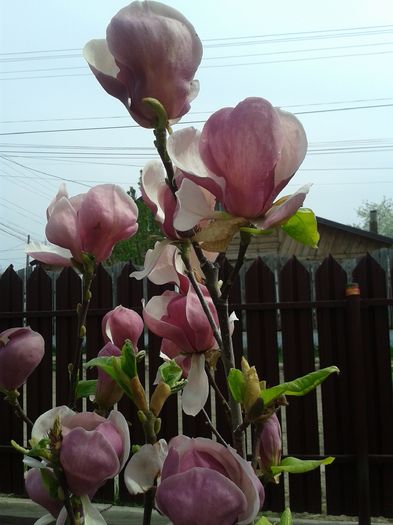20160410_122250