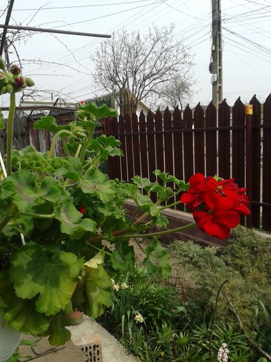 20160410_122256