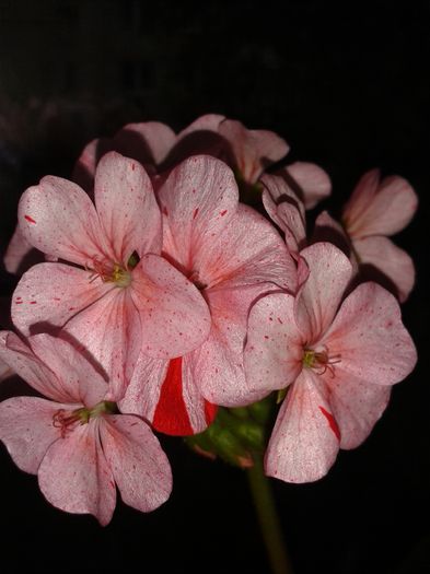 20160411_173500
