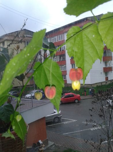 20160411_173523