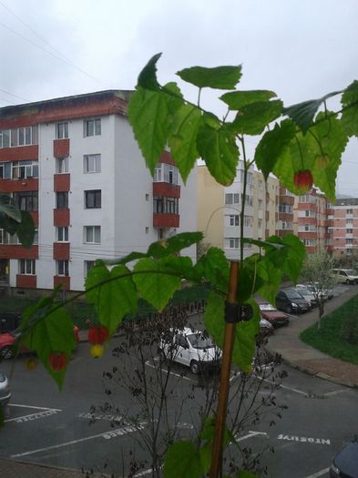 20160411_173542