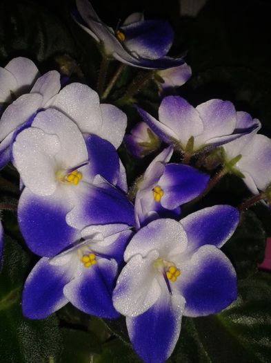 20160415_195505