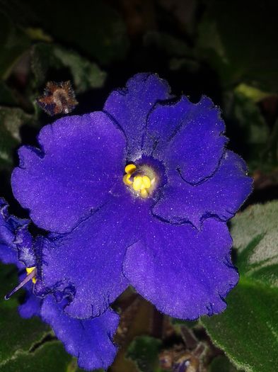 20160415_195525