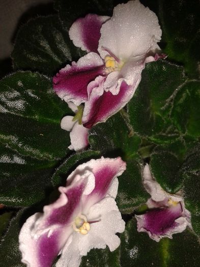 20160415_195605