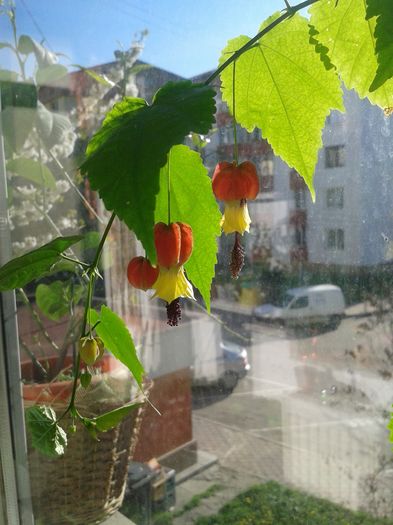 20160416_090651