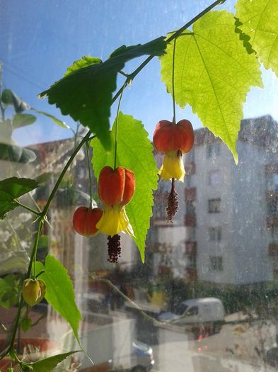 20160416_090657