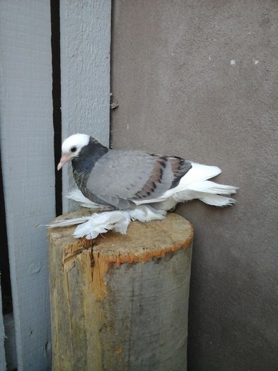 20160417_174227
