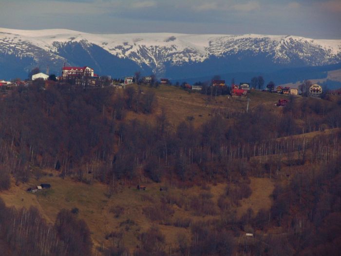 DSC04256 - Primavara 2016