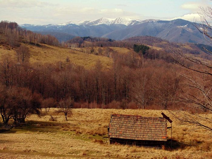 DSC04264 - Primavara 2016