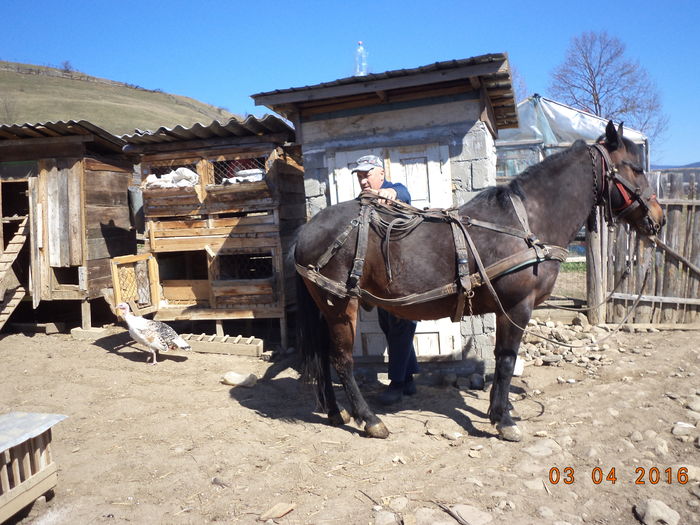 Loti gata de plecare-8jk - PRIMAVARA-2016