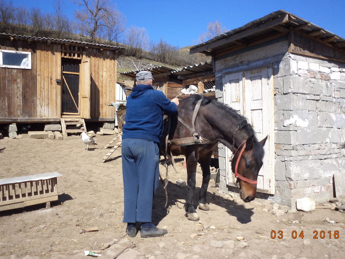 Ne pragatim de drum-3 - PRIMAVARA-2016