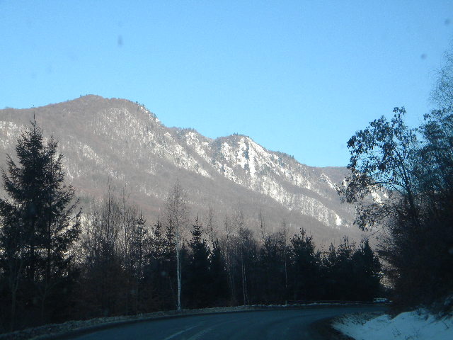DSCN4497