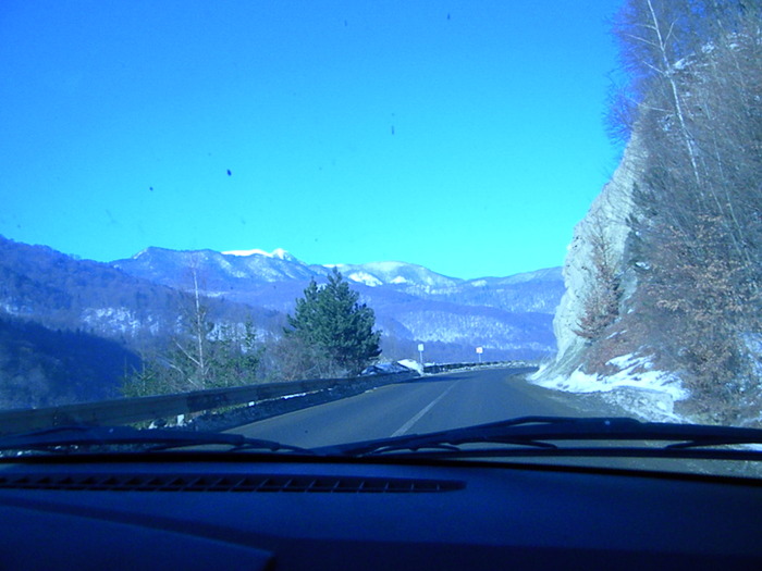 DSCN4502
