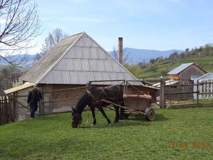 Loti e nerabdator