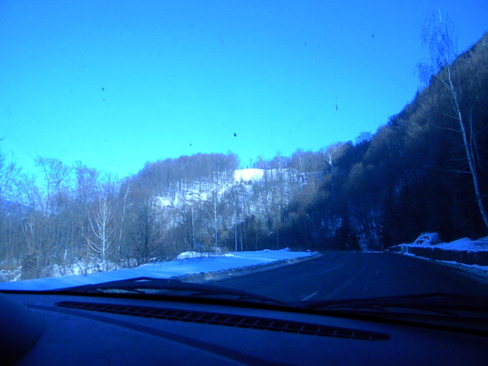 DSCN4508