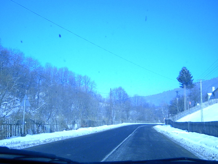 DSCN4513
