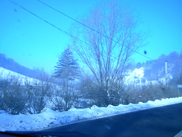 DSCN4515
