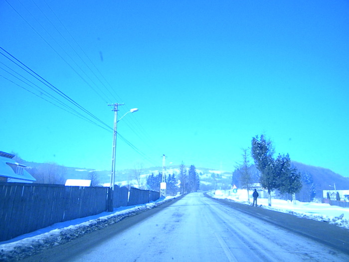 DSCN4517