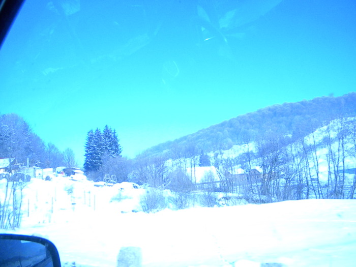 DSCN4518