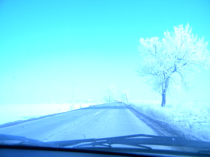 DSCN4525