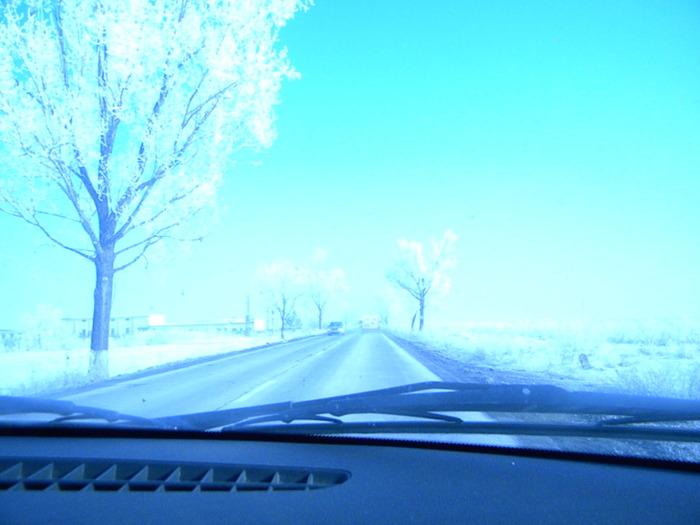 DSCN4526
