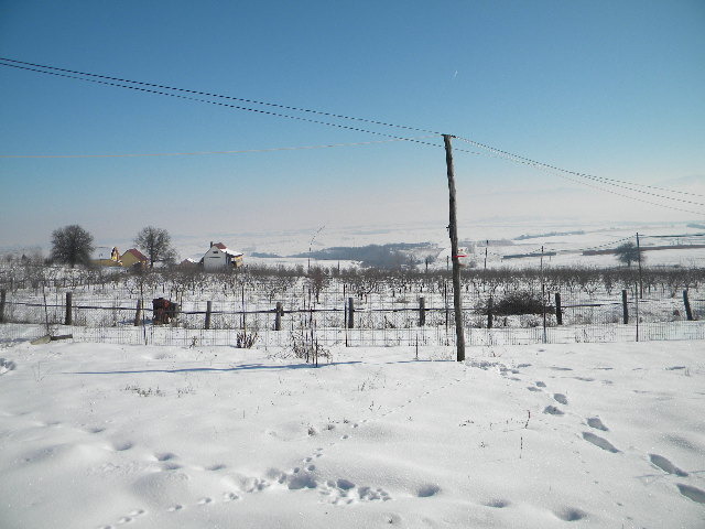 DSCN4527