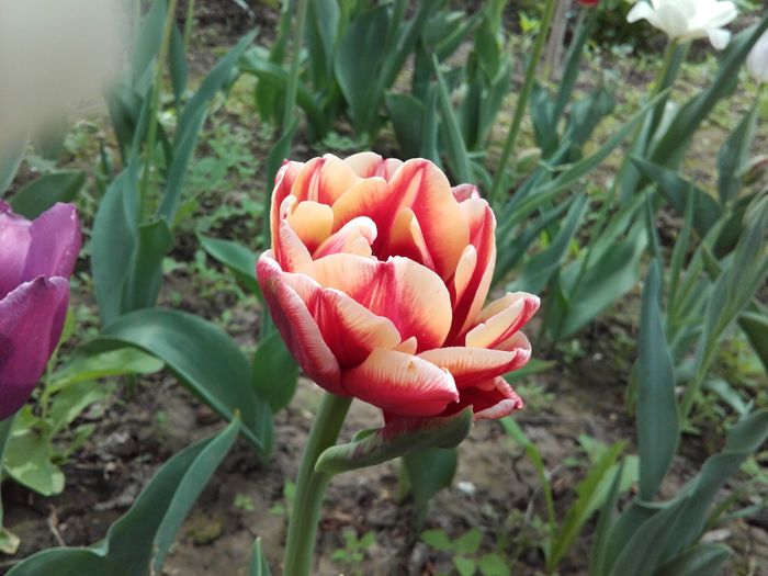20160418_114443